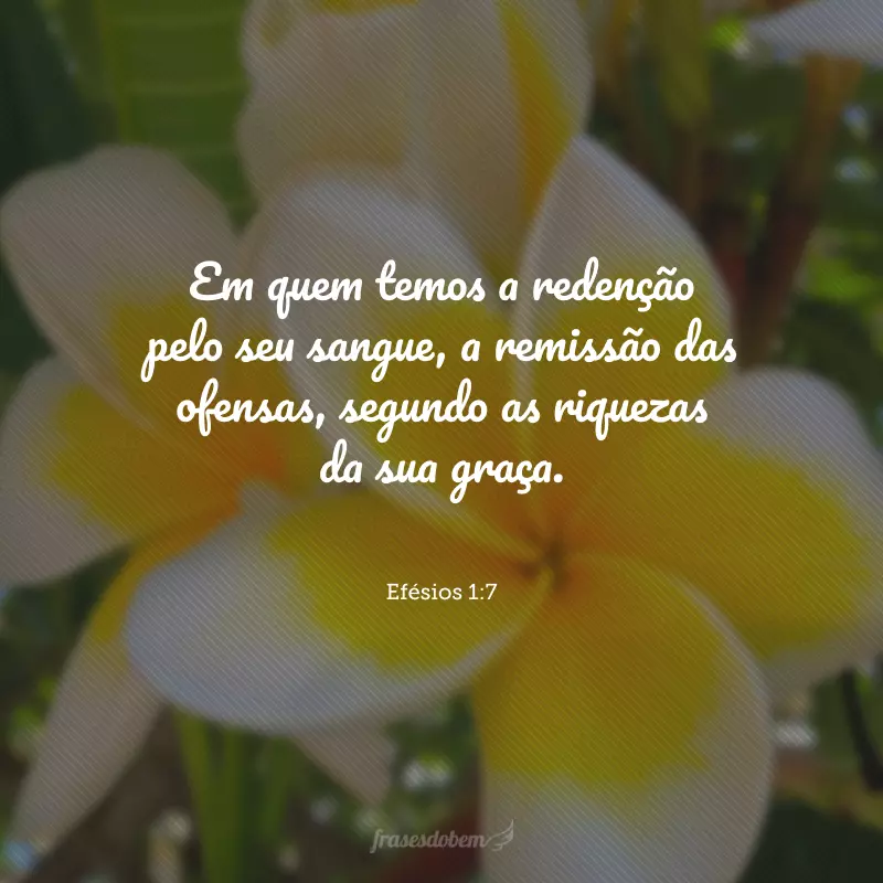 Em quem temos a redenção pelo seu sangue, a remissão das ofensas, segundo as riquezas da sua graça.