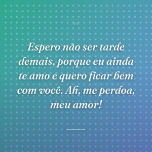 Espero não ser tarde demais, porque eu ainda te amo e quero ficar bem com você. Ah, me perdoa, meu amor!