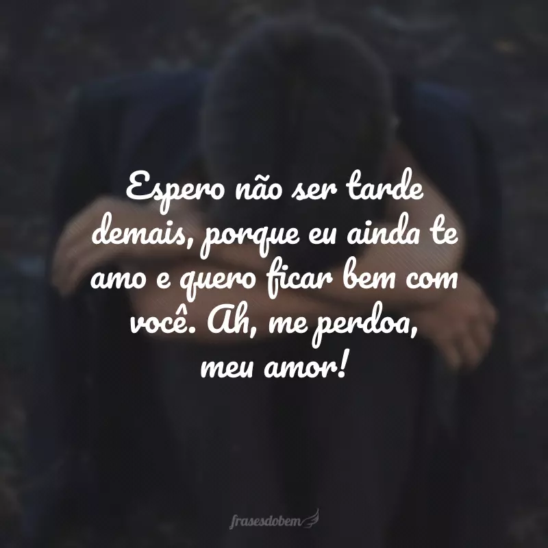 Espero não ser tarde demais, porque eu ainda te amo e quero ficar bem com você. Ah, me perdoa, meu amor!