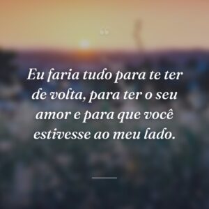 Eu faria tudo para te ter de volta, para ter o seu amor e para que você estivesse ao meu lado.