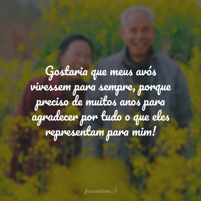 Gostaria que meus avós vivessem para sempre porque preciso de muitos anos para agradecer por tudo o que eles representam para mim!