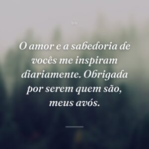 O amor e a sabedoria de vocês me inspiram diariamente. Obrigada por serem quem são, meus avós.