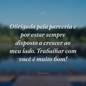 Obrigada pela parceria e por estar sempre disposto a crescer ao meu lado. Trabalhar com você é muito bom!