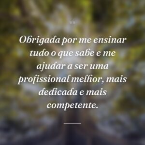 Obrigada por me ensinar tudo o que sabe e me ajudar a ser uma profissional melhor, mais dedicada e mais competente.