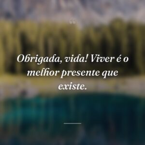 Obrigada, vida! Viver é o melhor presente que existe.