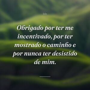Obrigado por ter me incentivado, por ter mostrado o caminho e por nunca ter desistido de mim.