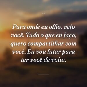 Para onde eu olho, vejo você. Tudo o que eu faço, quero compartilhar com você. Eu vou lutar para ter você de volta.