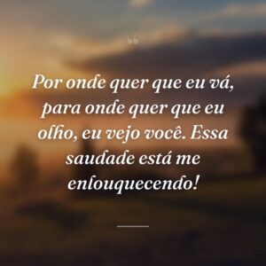 Por onde quer que eu vá, para onde quer que eu olho, eu vejo você. Essa saudade está me enlouquecendo!