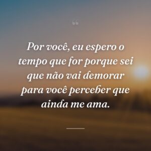 Por você, eu espero o tempo que for porque sei que não vai demorar para você perceber que ainda me ama.