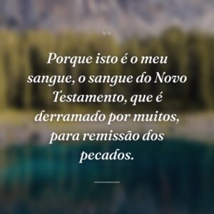 Porque isto é o meu sangue, o sangue do Novo Testamento, que é derramado por muitos, para remissão dos pecados.