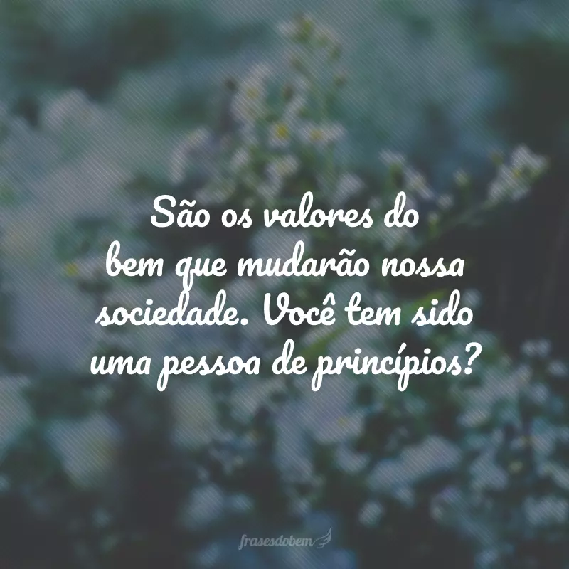 São os valores do bem que mudarão nossa sociedade. Você tem sido uma pessoa de princípios?