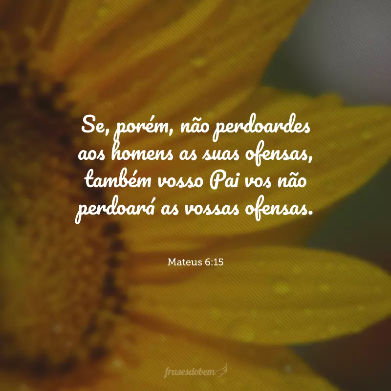 Se, porém, não perdoardes aos homens as suas ofensas, também vosso Pai vos não perdoará as vossas ofensas.