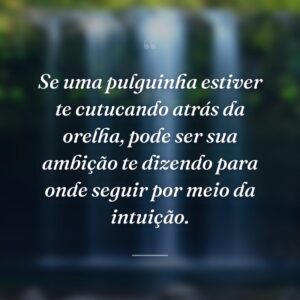 Se uma pulguinha estiver te cutucando atrás da orelha, pode ser sua ambição te dizendo para onde seguir por meio da intuição.