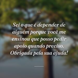 Sei o que é depender de alguém porque você me ensinou que posso pedir apoio quando preciso. Obrigada pela sua ajuda!