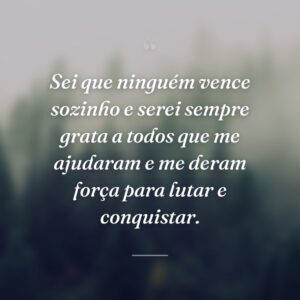 Sei que ninguém vence sozinho e serei sempre grata a todos que me ajudaram e me deram força para lutar e conquistar.