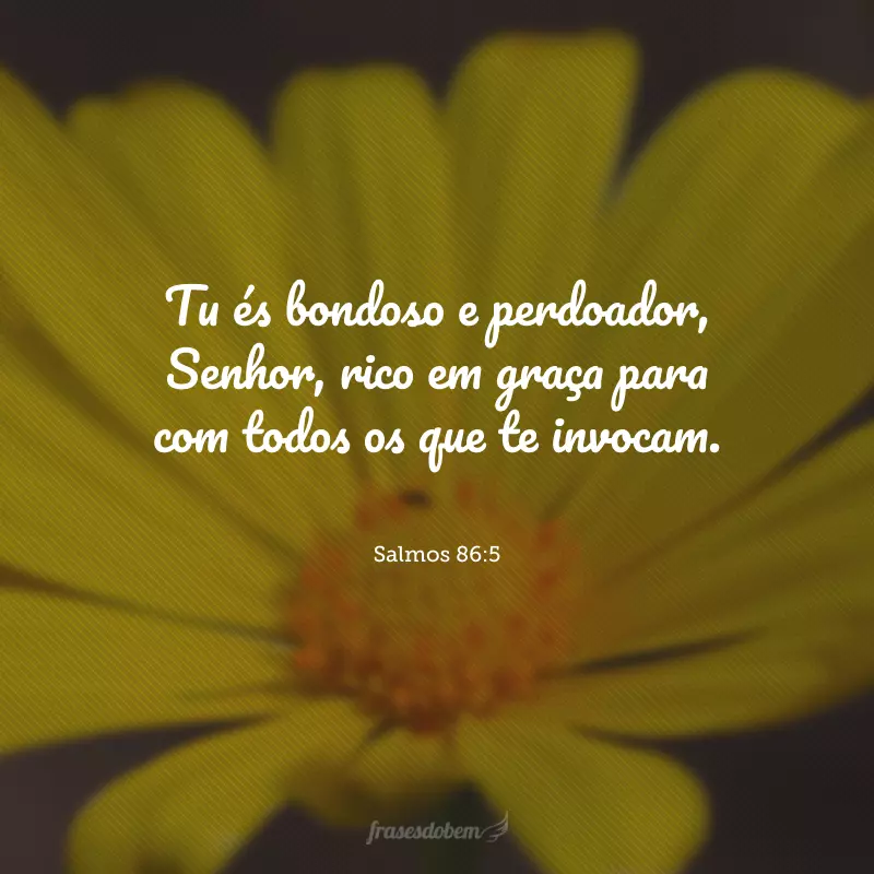 Tu és bondoso e perdoador, Senhor, rico em graça para com todos os que te invocam.