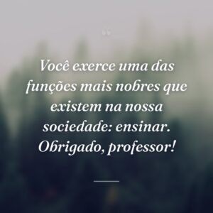 Você exerce uma das funções mais nobres que existem na nossa sociedade: ensinar. Obrigado, professor!