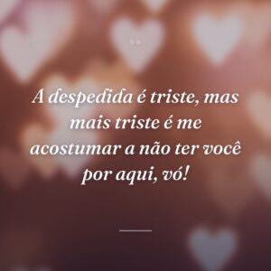A despedida é triste, mas mais triste é me acostumar a não ter você por aqui, vó!