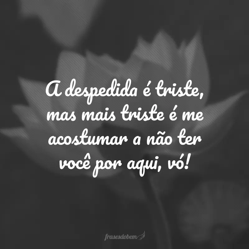 A despedida é triste, mas mais triste é me acostumar a não ter você por aqui, vó!