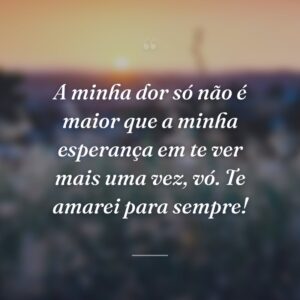 A minha dor só não é maior que a minha esperança em te ver mais uma vez, vó. Te amarei para sempre!
