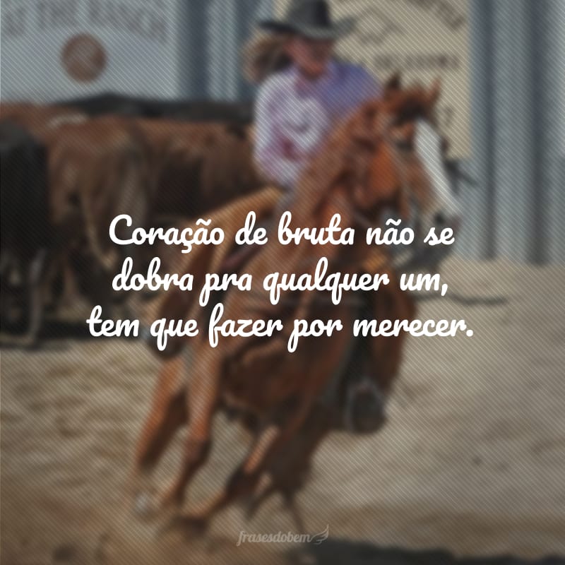 Coração de bruta não se dobra pra qualquer um, tem que fazer por merecer.