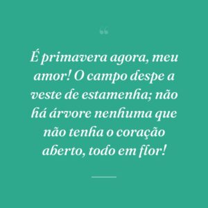 É primavera agora, meu amor! O campo despe a veste de estamenha; não há árvore nenhuma que não tenha o coração aberto, todo em flor!