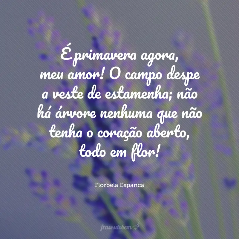 É primavera agora, meu amor! O campo despe a veste de estamenha; não há árvore nenhuma que não tenha o coração aberto, todo em flor!