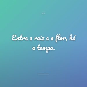 Entre a raiz e a flor, há o tempo.