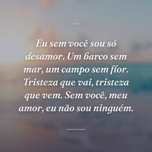 Eu sem você sou só desamor. Um barco sem mar, um campo sem flor. Tristeza que vai, tristeza que vem. Sem você, meu amor, eu não sou ninguém.