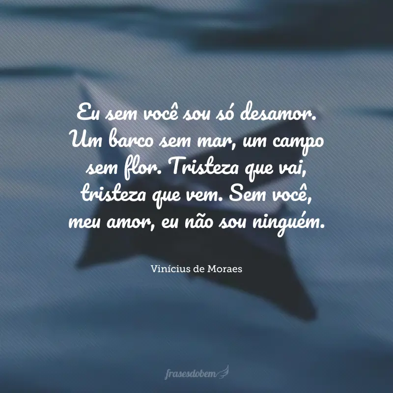 Eu sem você sou só desamor. Um barco sem mar, um campo sem flor. Tristeza que vai, tristeza que vem. Sem você, meu amor, eu não sou ninguém.