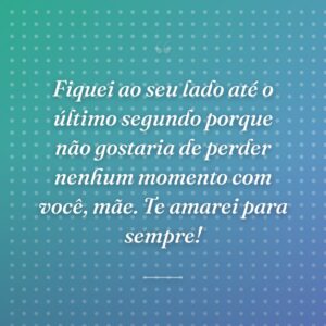 Fiquei ao seu lado até o último segundo porque não gostaria de perder nenhum momento com você, mãe. Te amarei para sempre!