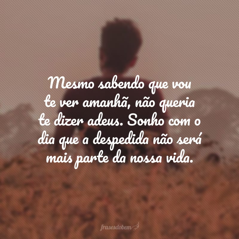 Mesmo sabendo que vou te ver amanhã, não queria te dizer adeus. Sonho com o dia que a despedida não será mais parte da nossa vida.