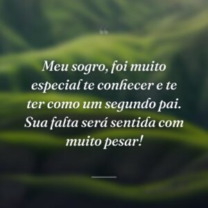 Meu sogro, foi muito especial te conhecer e te ter como um segundo pai. Sua falta será sentida com muito pesar!