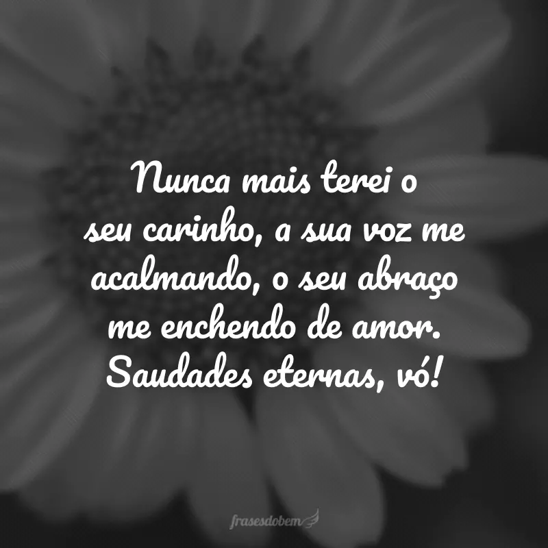 Nunca mais terei o seu carinho, a sua voz me acalmando, o seu abraço me enchendo de amor. Saudades eternas, vó!