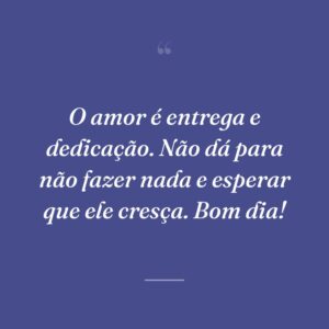 O amor é entrega e dedicação. Não dá para não fazer nada e esperar que ele cresça. Bom dia!