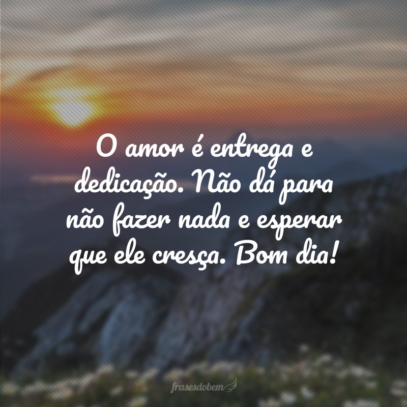 O amor é entrega e dedicação. Não dá para não fazer nada e esperar que ele cresça. Bom dia!