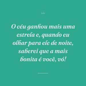O céu ganhou mais uma estrela e, quando eu olhar para ele de noite, saberei que a mais bonita é você, vó!