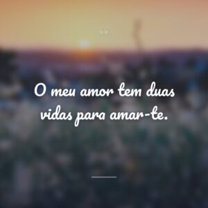 O meu amor tem duas vidas para amar-te.