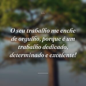 O seu trabalho me enche de orgulho, porque é um trabalho dedicado, determinado e excelente!