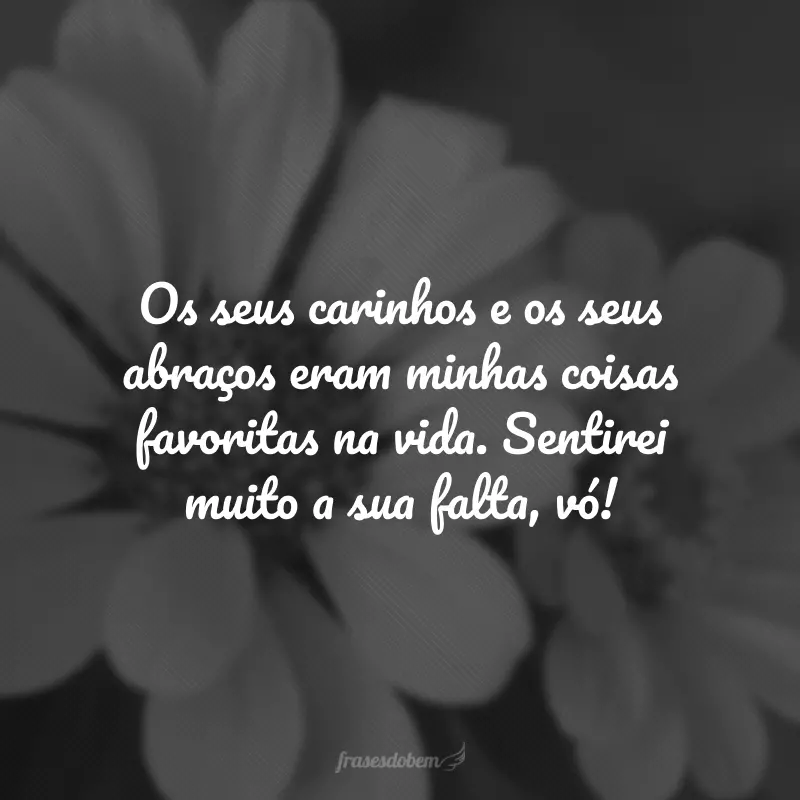 Os seus carinhos e os seus abraços eram minhas coisas favoritas na vida. Sentirei muito a sua falta, vó!