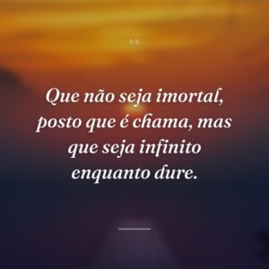 Que não seja imortal, posto que é chama, mas que seja infinito enquanto dure.