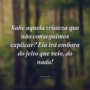 Sabe aquela tristeza que não conseguimos explicar? Ela irá embora do jeito que veio, do nada!