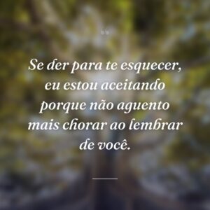 Se der para te esquecer, eu estou aceitando porque não aguento mais chorar ao lembrar de você.