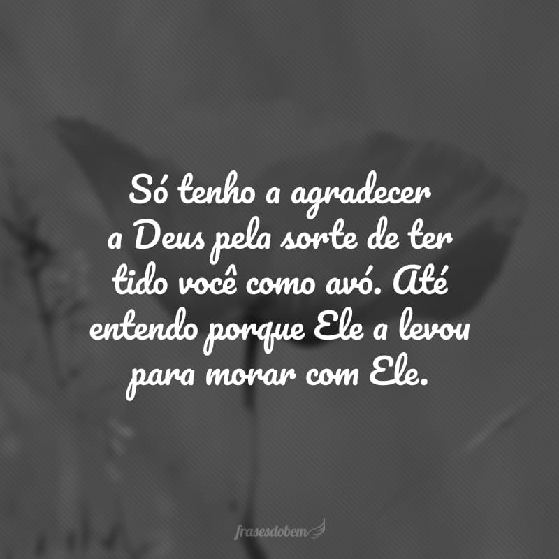 Só tenho a agradecer a Deus pela sorte de ter tido você como avó. Até entendo porque Ele a levou para morar com Ele.