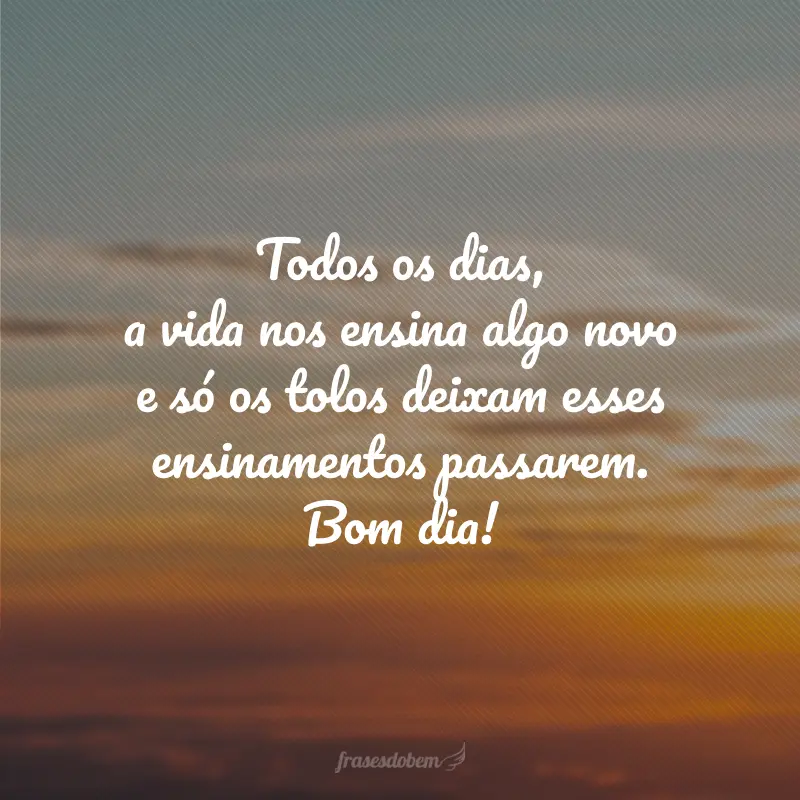 Todos os dias, a vida nos ensina algo novo e só os tolos deixam esses ensinamentos passarem. Bom dia!