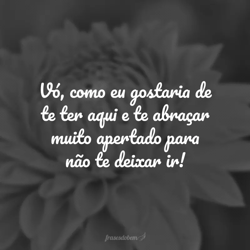 Vó, como eu gostaria de te ter aqui e te abraçar muito apertado para não te deixar ir!