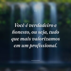 Você é verdadeiro e honesto, ou seja, tudo que mais valorizamos em um profissional.