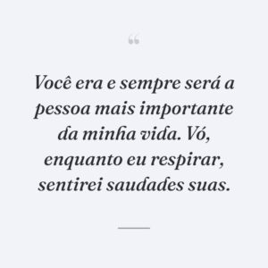 Você era e sempre será a pessoa mais importante da minha vida. Vó, enquanto eu respirar, sentirei saudades suas.