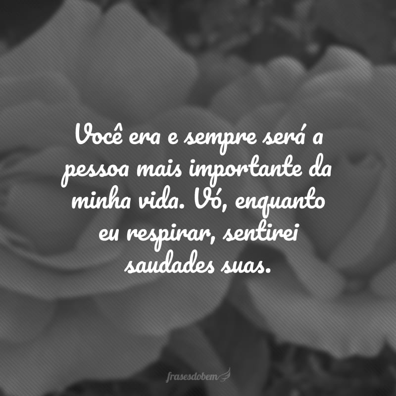 Você era e sempre será a pessoa mais importante da minha vida. Vó, enquanto eu respirar, sentirei saudades suas.