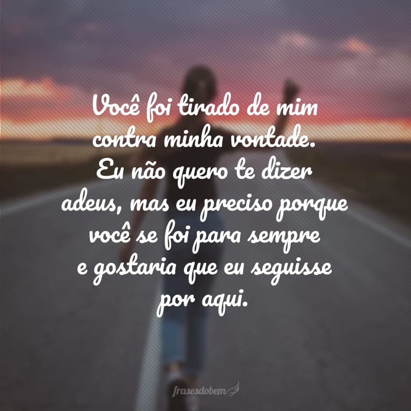 Você foi tirado de mim contra minha vontade. Eu não quero te dizer adeus, mas eu preciso porque você se foi para sempre e gostaria que eu seguisse por aqui.